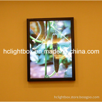 Aluminium Board and Eco Board Posters Frames